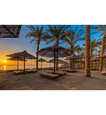 Тур в Египет